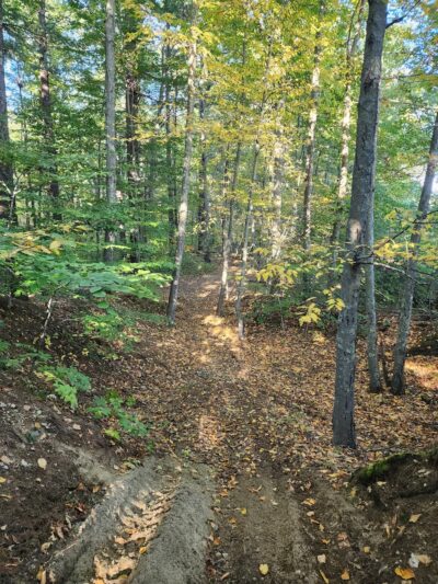 JJ Shephard Memorial Forest - Pembroke, MA