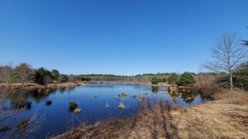 Tubbs Meadow Mill Street Trailhead - Pembroke, MA