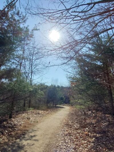 Tubbs Meadow Mill Street Trailhead - Pembroke, MA
