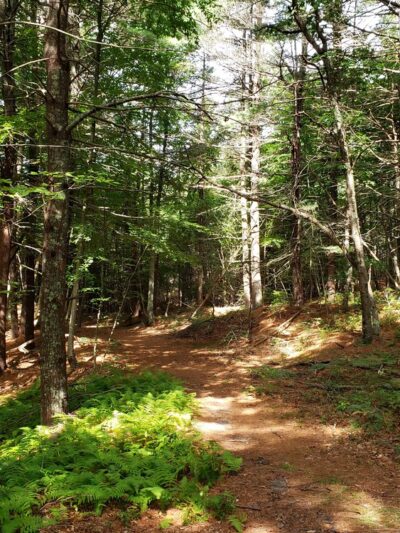 Tubbs Meadow Mill Street Trailhead - Pembroke, MA