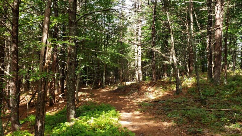 Tubbs Meadow Mill Street Trailhead - Pembroke, MA