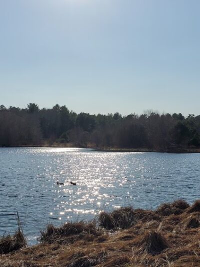 Tubbs Meadow Mill Street Trailhead - Pembroke, MA