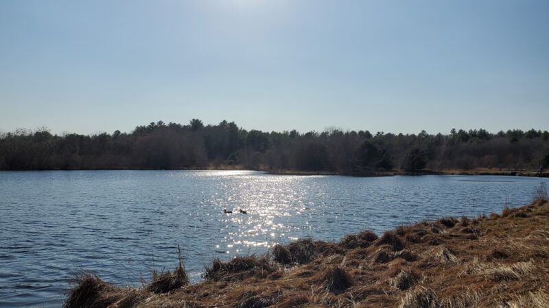 Tubbs Meadow Mill Street Trailhead - Pembroke, MA