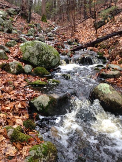 Wildlands Trust - Tucker Preserve - Pembroke, MA