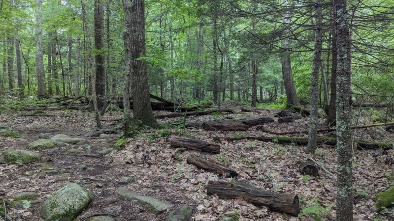Wildlands Trust - Tucker Preserve - Pembroke, MA