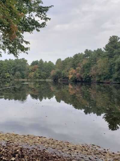 Wildlands Trust - Tucker Preserve - Pembroke, MA