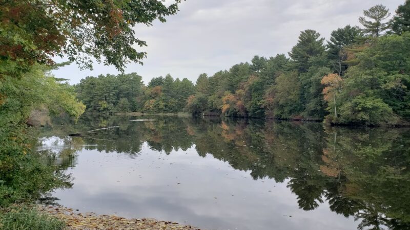 Wildlands Trust - Tucker Preserve - Pembroke, MA