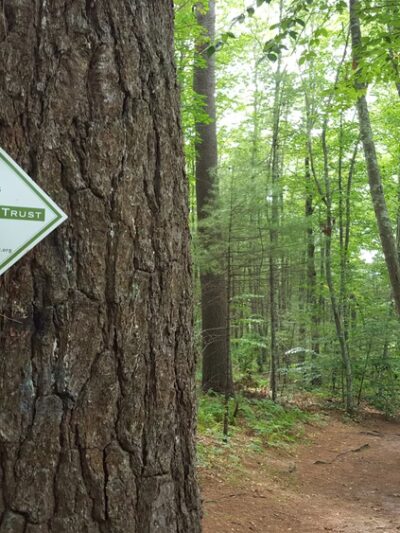 Wildlands Trust - Tucker Preserve - Pembroke, MA