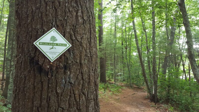 Wildlands Trust - Tucker Preserve - Pembroke, MA