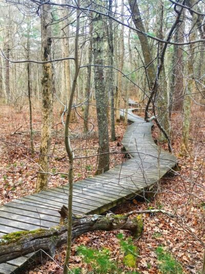Wildlands Trust - Willow Brook Farm - Pembroke, MA