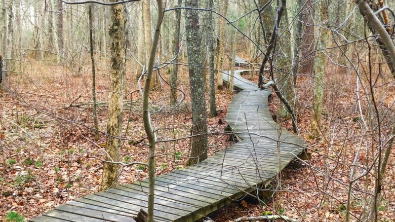 Wildlands Trust - Willow Brook Farm - Pembroke, MA