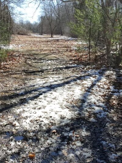 Wildlands Trust - Willow Brook Farm - Pembroke, MA
