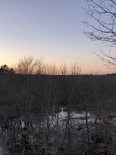 Willow Brook Farm Tower - Pembroke, MA