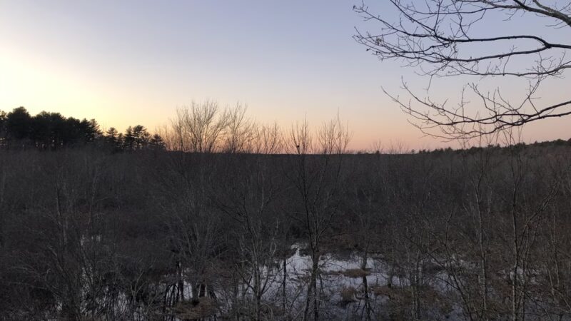 Willow Brook Farm Tower - Pembroke, MA