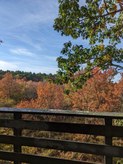 Willow Brook Farm Tower - Pembroke, MA