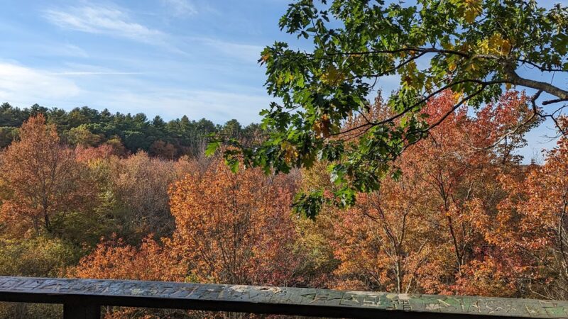 Willow Brook Farm Tower - Pembroke, MA