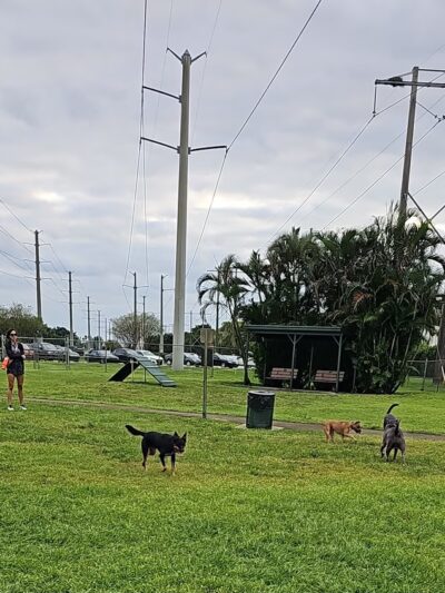 Pembroke Pines Craig Rupp K-9 Dog Park - Pembroke Pines, FL