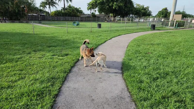 Pembroke Pines Craig Rupp K-9 Dog Park - Pembroke Pines, FL