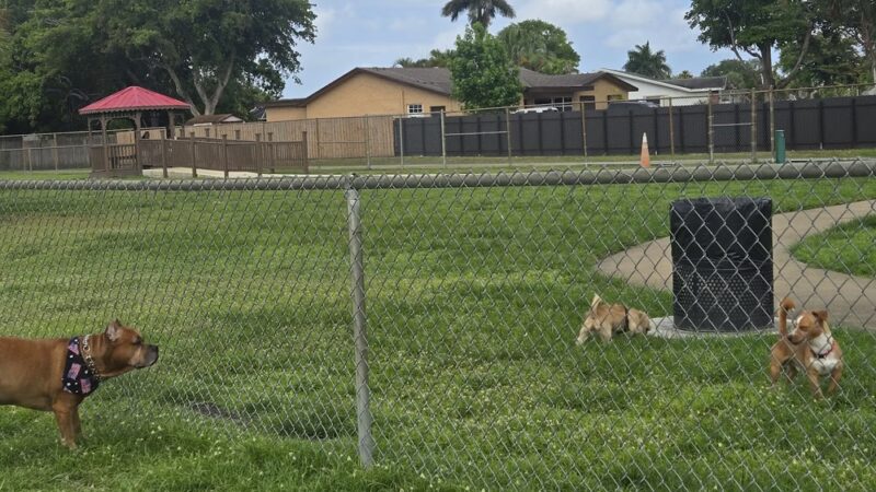 Pembroke Pines Craig Rupp K-9 Dog Park - Pembroke Pines, FL
