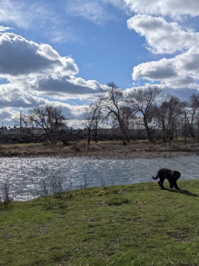 Let 'Er Bark Off Leash Dog Park - Pendleton, OR