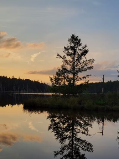 Quehanna North Trail - Penfield, PA