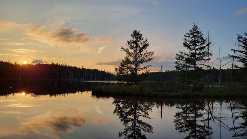 Quehanna North Trail - Penfield, PA
