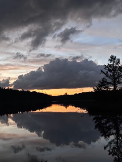 Quehanna North Trail - Penfield, PA