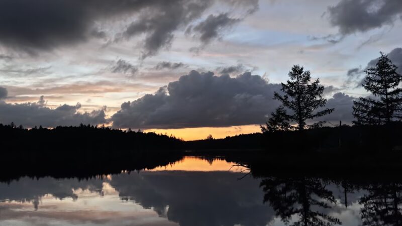 Quehanna North Trail - Penfield, PA