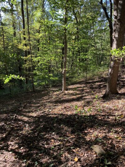 Mill Creek Valley Park - Penn Valley, PA