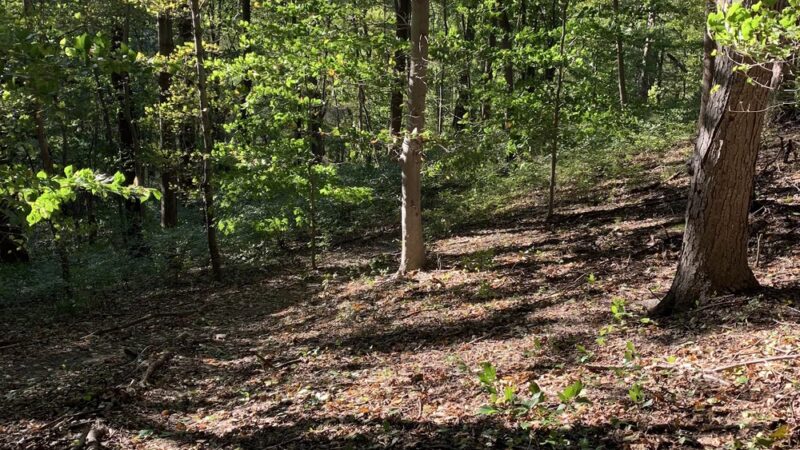 Mill Creek Valley Park - Penn Valley, PA