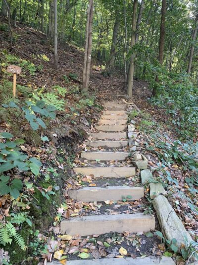 Mill Creek Valley Park - Penn Valley, PA