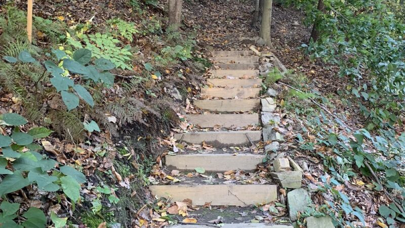 Mill Creek Valley Park - Penn Valley, PA