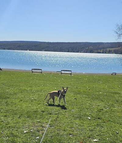 Penn Yan Village Boat Launch Playground - Penn Yan, NY