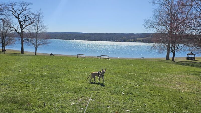 Penn Yan Village Boat Launch Playground - Penn Yan, NY