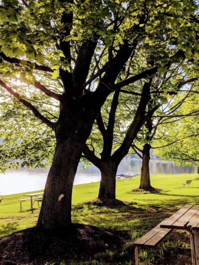 Red Jacket Park - Penn Yan, NY