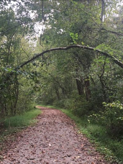 North Bend Rail Trail Tunnel #8 Cunningham's - Pennsboro, WV