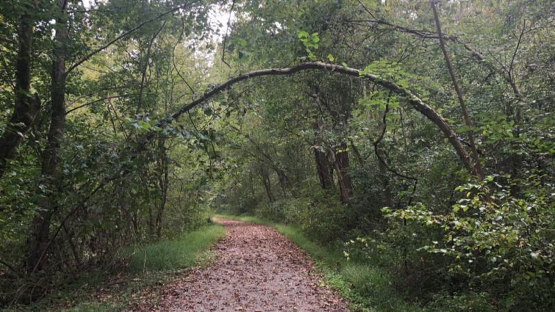 North Bend Rail Trail Tunnel #8 Cunningham's - Pennsboro, WV