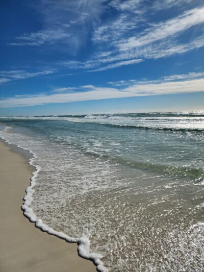 Florida Trail Pensacola Beach Dog Park Trailhead - Pensacola Beach, FL