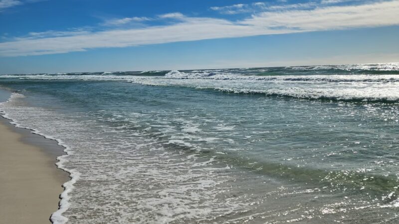 Florida Trail Pensacola Beach Dog Park Trailhead - Pensacola Beach, FL