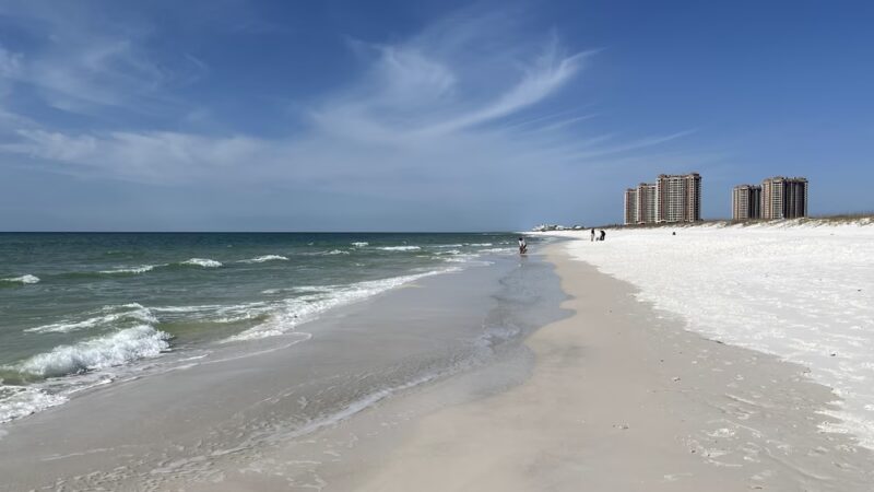 Florida Trail Pensacola Beach Dog Park Trailhead - Pensacola Beach, FL