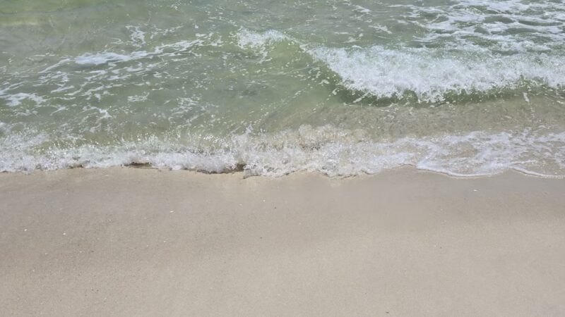 Pensacola Beach Park - Pensacola Beach, FL