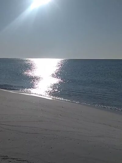 Pensacola Dog Beach - Pensacola Beach, FL