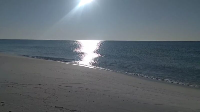 Pensacola Dog Beach - Pensacola Beach, FL