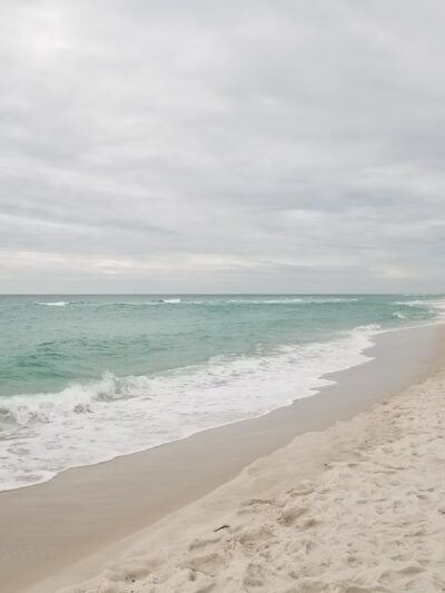 Pensacola Dog Beach - Pensacola Beach, FL