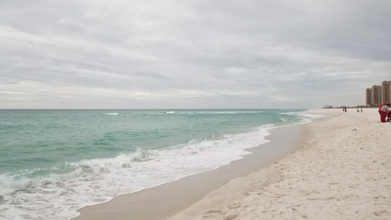 Pensacola Dog Beach - Pensacola Beach, FL