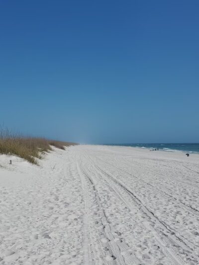 Pensacola Dog Beach - Pensacola Beach, FL