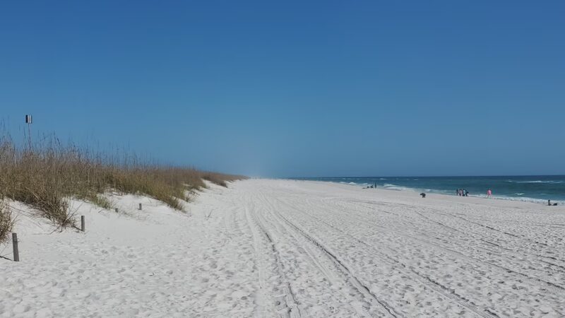 Pensacola Dog Beach - Pensacola Beach, FL