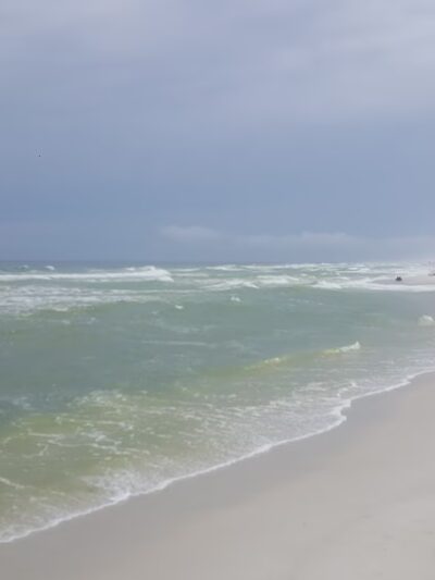 Pensacola Dog Beach - Pensacola Beach, FL