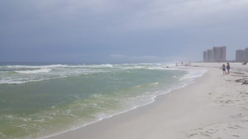 Pensacola Dog Beach - Pensacola Beach, FL