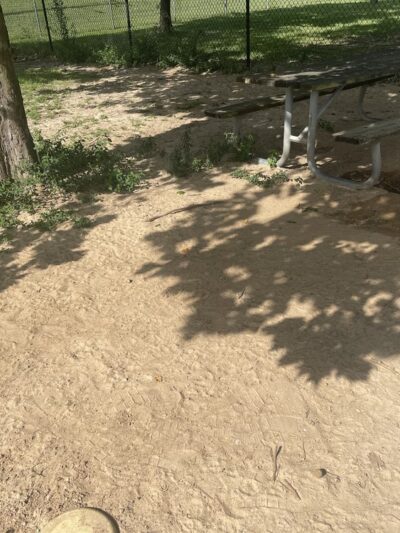 Ashton Brosnaham Dog park - Pensacola, FL